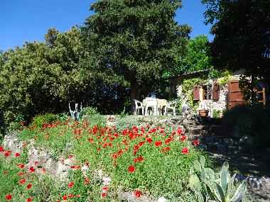 Ferienwohnung in Montecatini Val di Cecina (Pisa) oder Ferienwohnung oder Ferienhaus