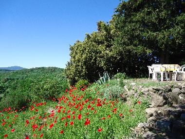 Ferienwohnung in Montecatini Val di Cecina (Pisa) oder Ferienwohnung oder Ferienhaus