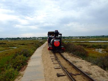 Ferienhaus in Luz de Tavira (Algarve) oder Ferienwohnung oder Ferienhaus