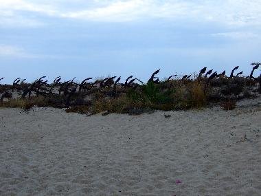 Ferienhaus in Luz de Tavira (Algarve) oder Ferienwohnung oder Ferienhaus