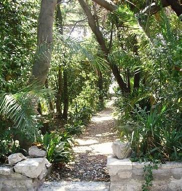 Ferienhaus in Orebic (Dubrovacko-Neretvanska) oder Ferienwohnung oder Ferienhaus