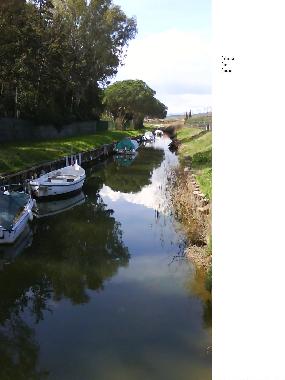 Ferienwohnung in Follonica (Grosseto) oder Ferienwohnung oder Ferienhaus