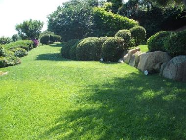Garten unterhalb des Pools