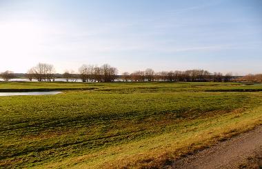 Blick in die Elbtalaue