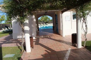 Gemeinschaftspool mit Sonnenliegen