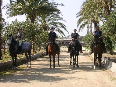 Ein Ausritt gefllig?