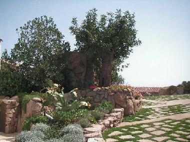 Villa in Porto Cervo (Olbia-Tempio) oder Ferienwohnung oder Ferienhaus