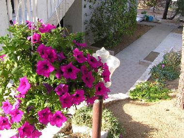 Ferienwohnung in Pag (Zadarska) oder Ferienwohnung oder Ferienhaus