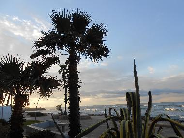 Ferienwohnung in haifa (Hefa (Haifa)) oder Ferienwohnung oder Ferienhaus