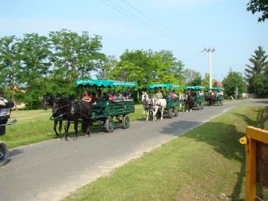 Pension in Balatonlelle-R�dpuszta (Somogy) oder Ferienwohnung oder Ferienhaus