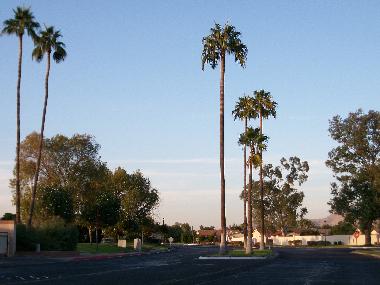 Ferienhaus in Mesa (Arizona) oder Ferienwohnung oder Ferienhaus
