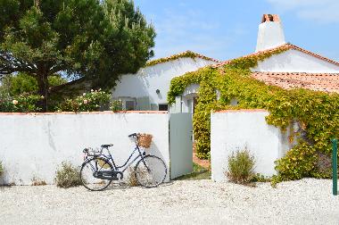 Ferienhaus in Ars en r� (Charente-Maritime) oder Ferienwohnung oder Ferienhaus