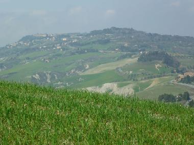 Chalet in Travale (Grosseto) oder Ferienwohnung oder Ferienhaus