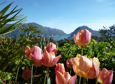 Ferienwohnung in Porza (Lugano) oder Ferienwohnung oder Ferienhaus