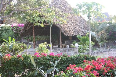 Pension in Watamu (Coast) oder Ferienwohnung oder Ferienhaus
