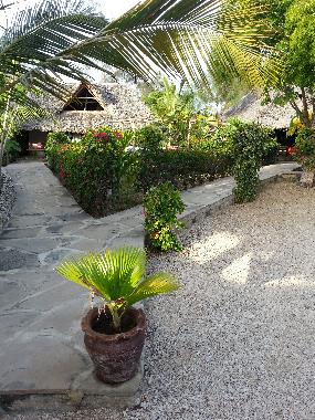 Pension in Watamu (Coast) oder Ferienwohnung oder Ferienhaus