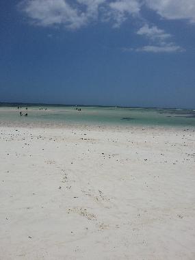 Pension in Watamu (Coast) oder Ferienwohnung oder Ferienhaus
