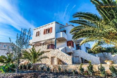 Ferienwohnung in Molat (Zadarska) oder Ferienwohnung oder Ferienhaus