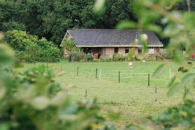 Ferienhaus in Slagharen (Overijssel) oder Ferienwohnung oder Ferienhaus