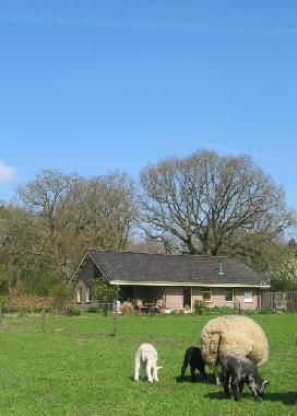 Ferienhaus in Slagharen (Overijssel) oder Ferienwohnung oder Ferienhaus