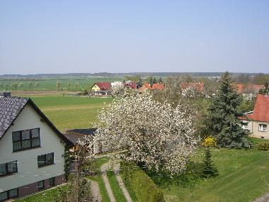 Westrichtung