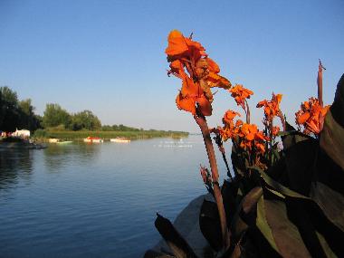 Ferienwohnung in Keszthely (Zala) oder Ferienwohnung oder Ferienhaus