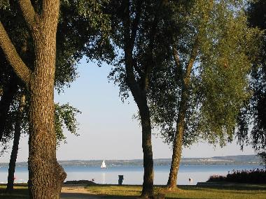 Ferienwohnung in Keszthely (Zala) oder Ferienwohnung oder Ferienhaus