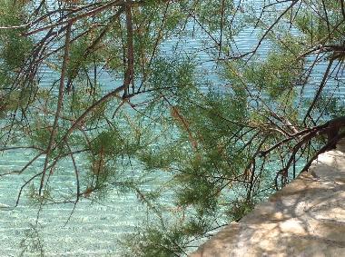 Ferienwohnung in Pisak (Splitsko-Dalmatinska) oder Ferienwohnung oder Ferienhaus