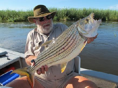 Chalet in Hwange (Matabeleland North) oder Ferienwohnung oder Ferienhaus