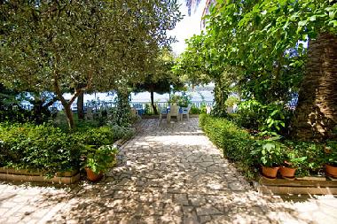 Ferienwohnung in Rab (Primorsko-Goranska) oder Ferienwohnung oder Ferienhaus