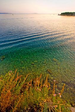 Ferienwohnung in Rab (Primorsko-Goranska) oder Ferienwohnung oder Ferienhaus