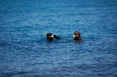 Pension in KELIBIA (Nabul) oder Ferienwohnung oder Ferienhaus
