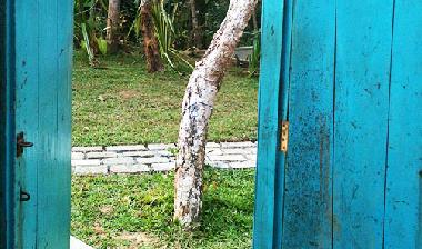 Villa in Dickwella (Gampaha) oder Ferienwohnung oder Ferienhaus