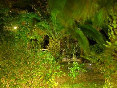 Ferienwohnung in Kefalonia (Kefallinia) oder Ferienwohnung oder Ferienhaus