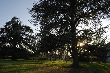 Ferienhaus in Flaujagues (Gironde) oder Ferienwohnung oder Ferienhaus
