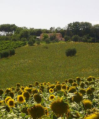 Ferienhaus in Morro d