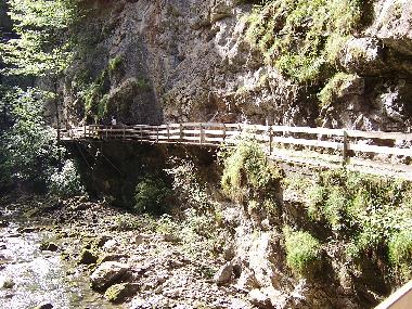 Ferienwohnung in mellau (Bludenz-Bregenzer Wald) oder Ferienwohnung oder Ferienhaus