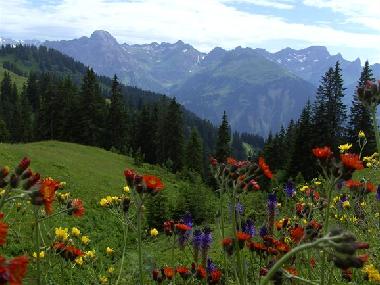 Ferienwohnung in mellau (Bludenz-Bregenzer Wald) oder Ferienwohnung oder Ferienhaus