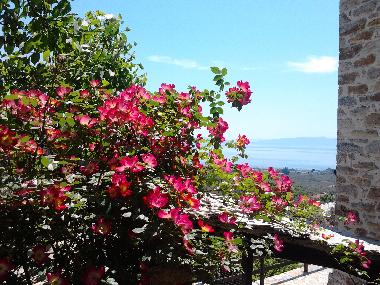 Ferienhaus in Ano Gatzea (Magnisia) oder Ferienwohnung oder Ferienhaus