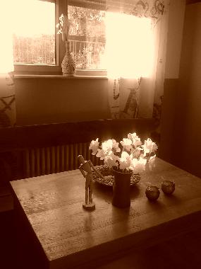 Ferienwohnung in zagreb (Grad Zagreb) oder Ferienwohnung oder Ferienhaus