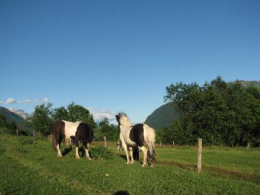 Ferienhaus in BREGINJ (Kobarid) oder Ferienwohnung oder Ferienhaus