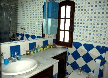 Ferienhaus in V.N. de Santo Andr� (Alentejo Litoral) oder Ferienwohnung oder Ferienhaus