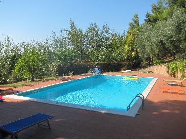 Villa in Massignano (Ancona) oder Ferienwohnung oder Ferienhaus