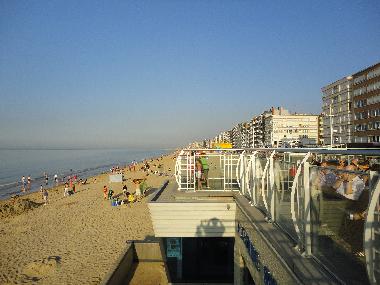 Ferienwohnung in SINT-IDESBALD / KOKSIJDE (Flandern) oder Ferienwohnung oder Ferienhaus