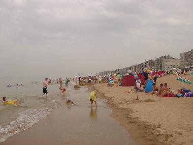 Ferienwohnung in SINT-IDESBALD / KOKSIJDE (Flandern) oder Ferienwohnung oder Ferienhaus