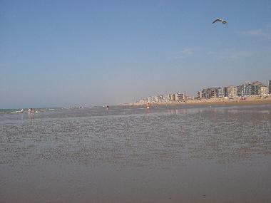 Ferienwohnung in SINT-IDESBALD / KOKSIJDE (Flandern) oder Ferienwohnung oder Ferienhaus