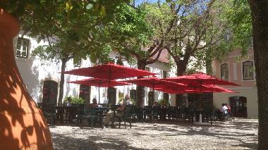 Chalet in Monchique (Algarve) oder Ferienwohnung oder Ferienhaus