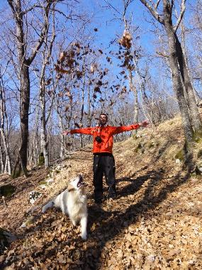 Ferienhaus in Sezana (Sezana) oder Ferienwohnung oder Ferienhaus