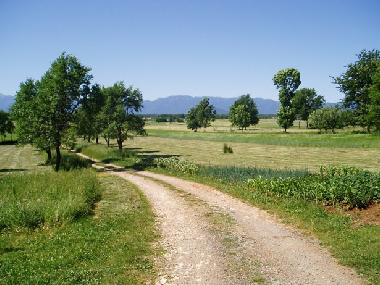 Ferienhaus in Gospic (Licko-Senjska) oder Ferienwohnung oder Ferienhaus