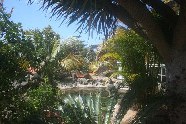 Chalet in Caniço (Madeira) oder Ferienwohnung oder Ferienhaus